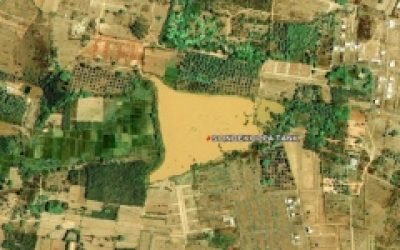 thumbs_environment-1